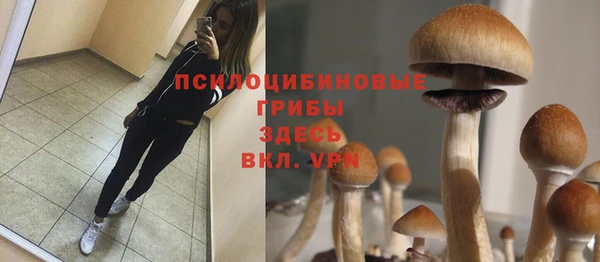СК Бронницы
