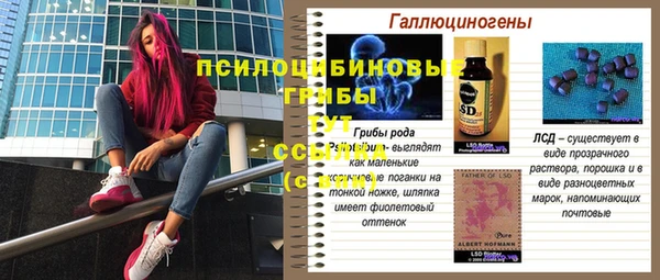 ПСИЛОЦИБИНОВЫЕ ГРИБЫ Верхний Тагил