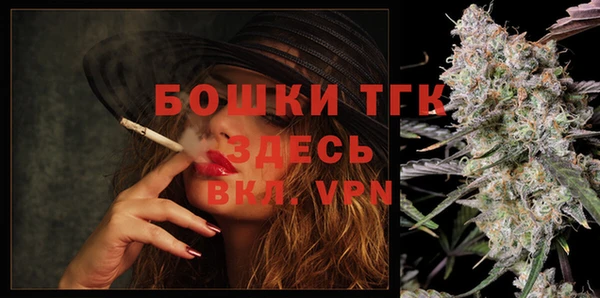 ПСИЛОЦИБИНОВЫЕ ГРИБЫ Верхний Тагил