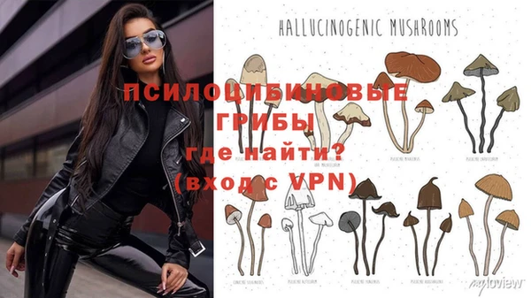 дурь Верея