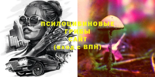ПСИЛОЦИБИНОВЫЕ ГРИБЫ Верхний Тагил