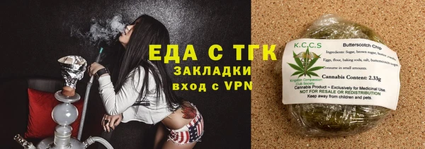 прущие грибы Бородино