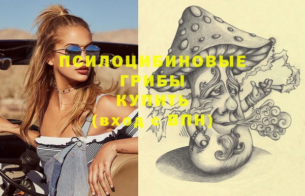 ПСИЛОЦИБИНОВЫЕ ГРИБЫ Верхний Тагил
