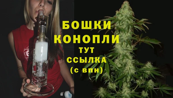 дурь Верея