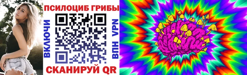 kraken рабочий сайт  Каменногорск  Псилоцибиновые грибы мицелий 