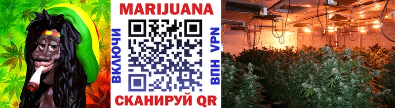 Бошки Шишки план  Каменногорск 